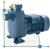 Pompa kałowa BXZm 22-40-3kW, 2900, 220V, imp:AISI 304 samozasysająca (typ Andijanets ANS)