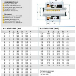 Uszczelnienie mechaniczne do pompy R-2100K 55, SIC/SIC, VITON, 304