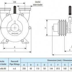 Pompa wirowa do pompowania kwasów LIVERANI NAUTIC 80 Inox F, 900 l/min, AISI 316, ze sprzęgłem ręcznym, bez silnika