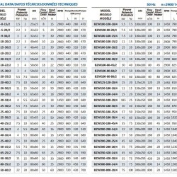 Pompa samozasysająca do wody rzecznej BZWM100-100-30/2, 22kW, 2900