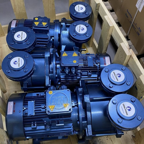 Pompa próżniowa z pierścieniem wodnym ESV 210/80, 145 m3/h, 4,0 kW, 1450 obr.