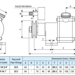 Pompa pierścieniowa cieczowa do opróżniania zęz LIVERANI SPECIAL 25, 60 l/min, brąz, bez silnika