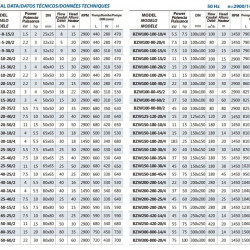 Samozasysająca pompa do ścieków BZWM100-80-45/2, 30kW, 2900