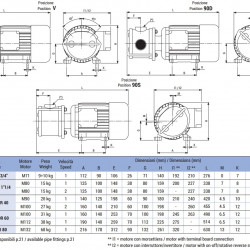 Pompa wirnikowa do pompowania cieczy lepkich LIVERANI EP MINOR 40+BY-PASS NR TF/I 1,5kW, 1400obr./min, 380V z przełącznikiem nawrotnym