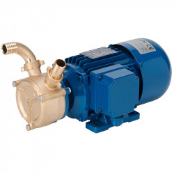 Pompa wirowa z pierścieniem cieczowym do sektora morskiego LIVERANI EP 30 MP, 95 l/min, CC/24V, 0,9 kW, 1700 rpm, brąz, Seal wargowa