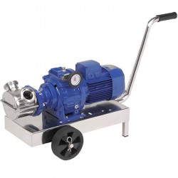 Pompa wirnikowa do pompowania lepkich produktów spożywczych LIVERANI VA MAXI 80 NR TF 4kW, 150-600obr./min, 380V z wariatorem, na wózku