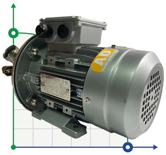 Pompa do twarogu AlphaDynamic AD30. 1/01 0,55 kW wirnikowa