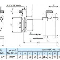 Pompa wirowa z pierścieniem cieczowym LIVERANI SPECIAL NEOS 3/4, 29 l/min, AISI 316, bez silnika