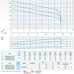 Dreno G2 GT 50/2/173 C. 175 pompa głębinowa z systemem tnącym