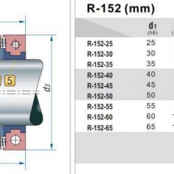 Uszczelnienie pompy R-152R 35, PTFE/CER, PTFE