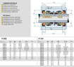 Uszczelnienie wału pompy R-208 20, SIC/SIC/SIC/SIC, VITON, 304