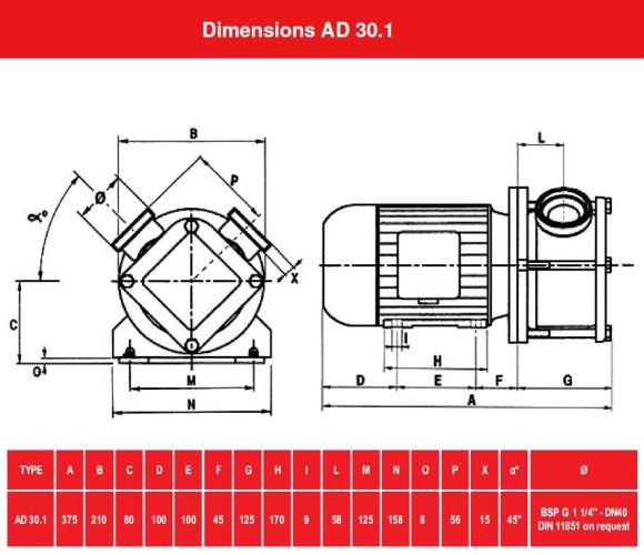 Pompka do dżemu, dżemu, przecieru AlphaDynamic AD30. 1/01 1,1 kW wirnikowa