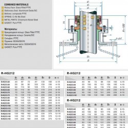 Uszczelnienie pompy R-HG212 50, PTFE/CER, PTFE, 316