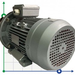 Pompa Do Przetaczania Oleju słonecznikowego AlphaDynamic AD40.1/01 2,2 kW wirnik